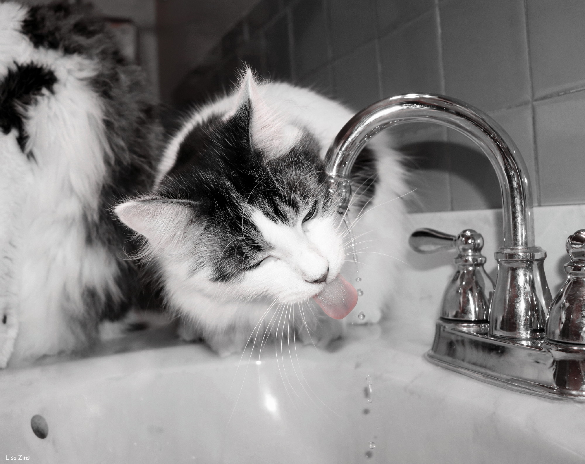 A cat drinking from water running out of a nice bathroom faucet